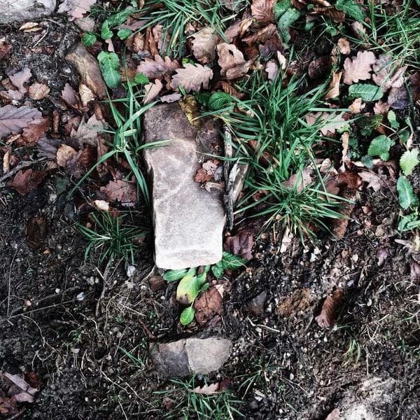 Public Charitable Trust